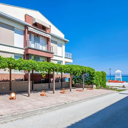 Argo First Line بوليخرونو