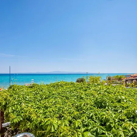 Argo First Line بوليخرونو