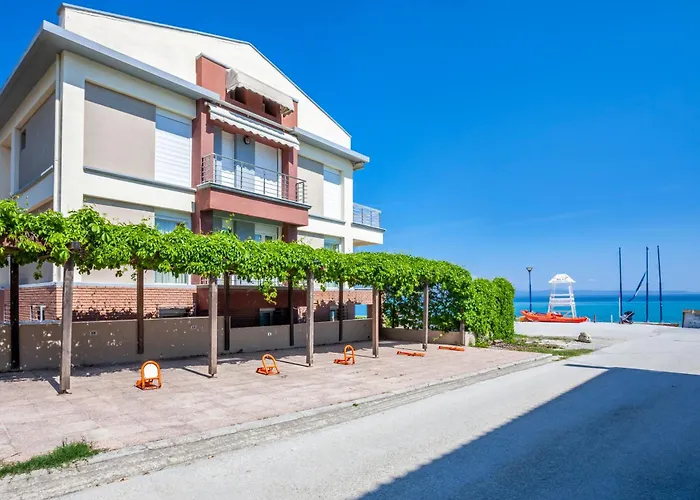 Argo First Line 波利克罗诺