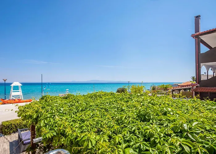 Argo First Line 波利克罗诺